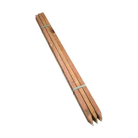 survey pegs bunnings